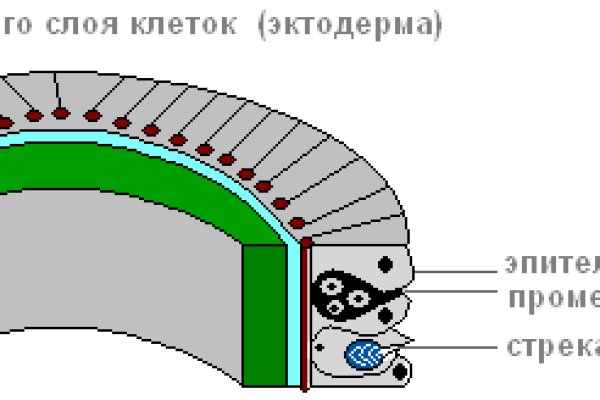 Что такое кракен сайт в россии