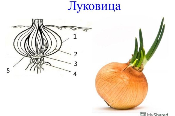 Рабочая ссылка на кракен в торе