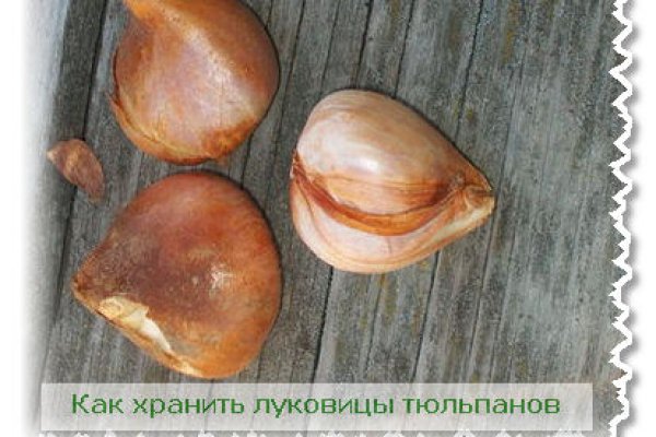 Кракен сайт зеркало рабочее