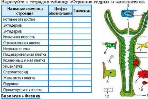 Ссылки на кракен com